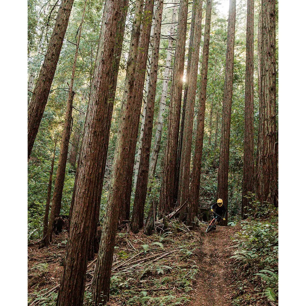 POC Chaleco Protección VPD System - Imagen 3